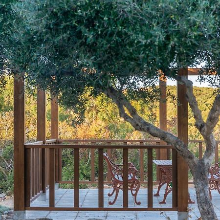 New - Villa Manika - 3Br 3Ba Pool Agia Fotia  Exteriér fotografie