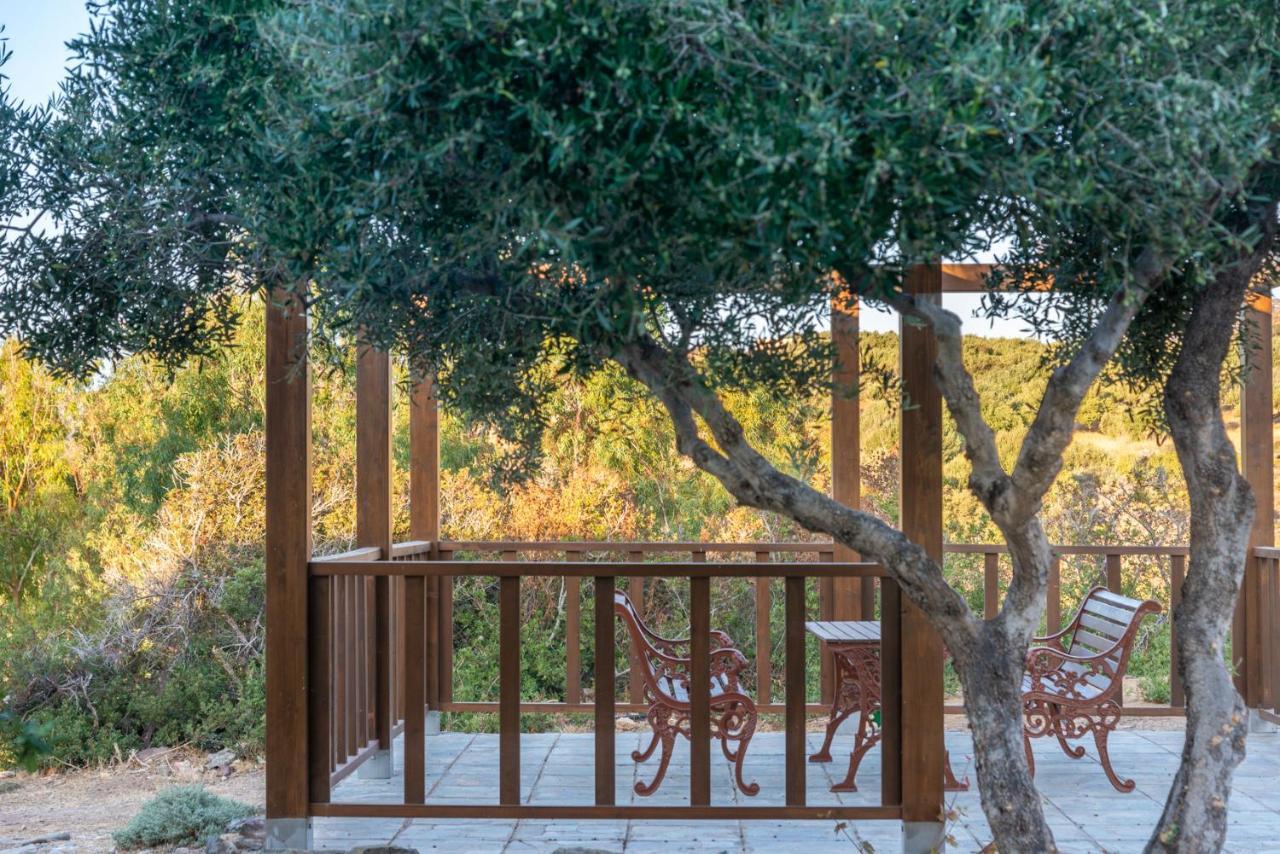 New - Villa Manika - 3Br 3Ba Pool Agia Fotia  Exteriér fotografie