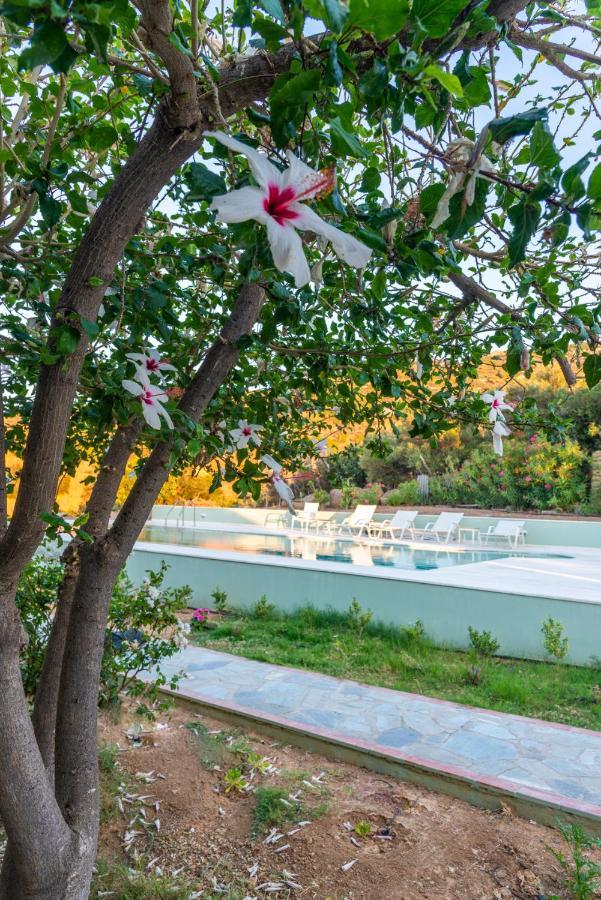 New - Villa Manika - 3Br 3Ba Pool Agia Fotia  Exteriér fotografie