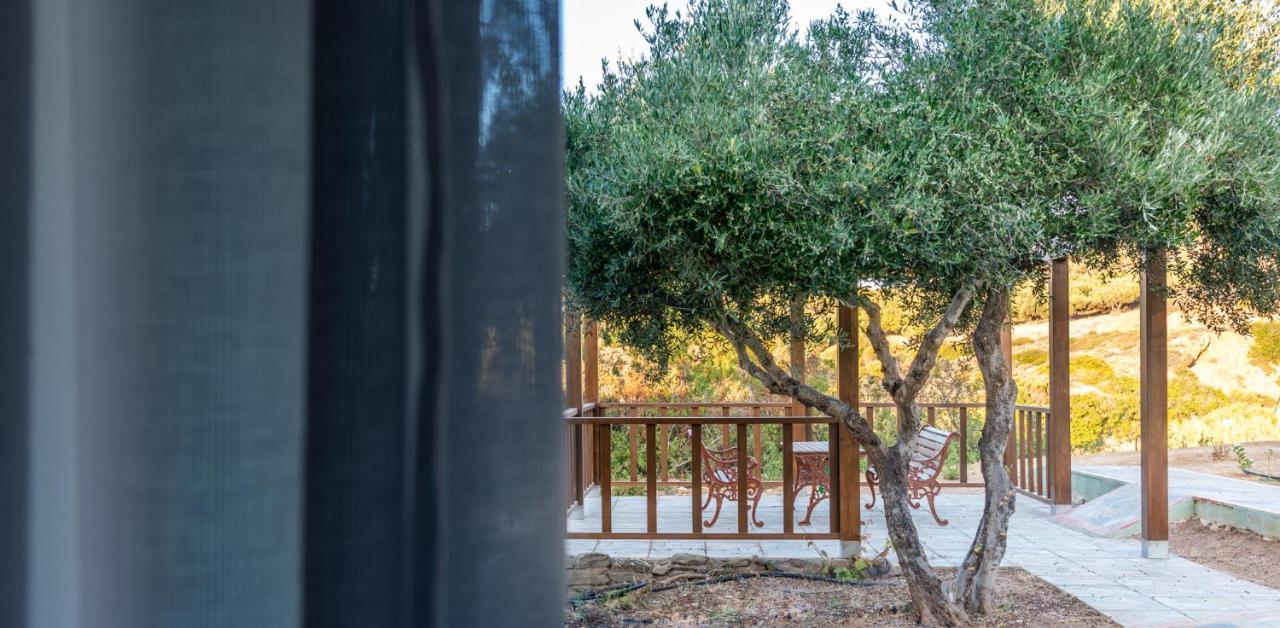 New - Villa Manika - 3Br 3Ba Pool Agia Fotia  Exteriér fotografie