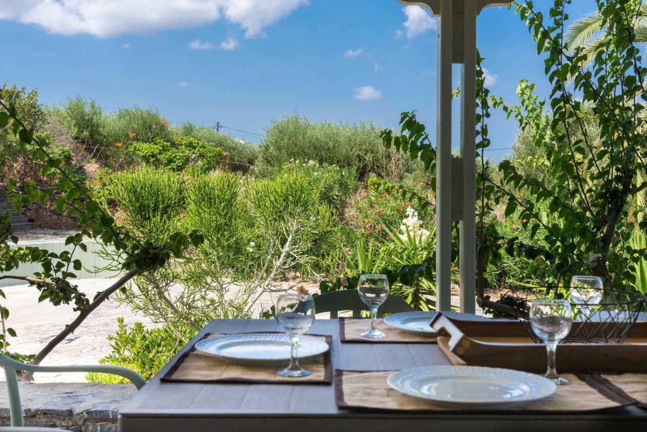 New - Villa Manika - 3Br 3Ba Pool Agia Fotia  Exteriér fotografie