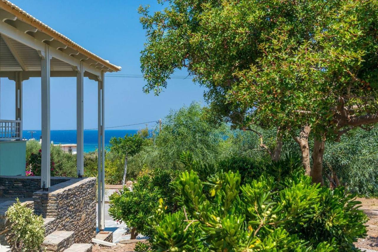 New - Villa Manika - 3Br 3Ba Pool Agia Fotia  Exteriér fotografie