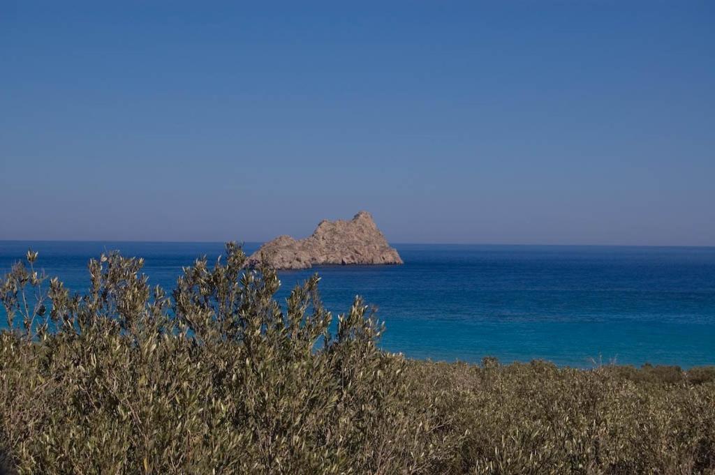 New - Villa Manika - 3Br 3Ba Pool Agia Fotia  Exteriér fotografie